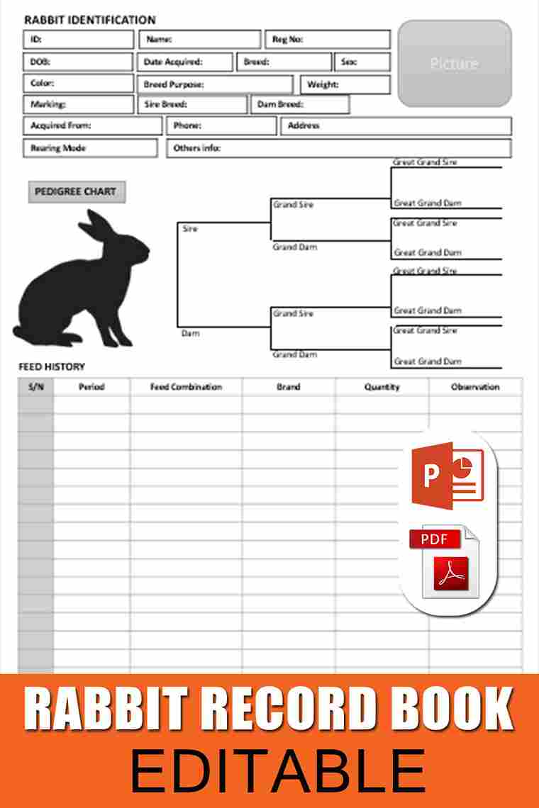  Rabbit Record Keeping Forms PDF 